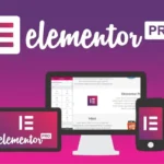 Elementor Pro